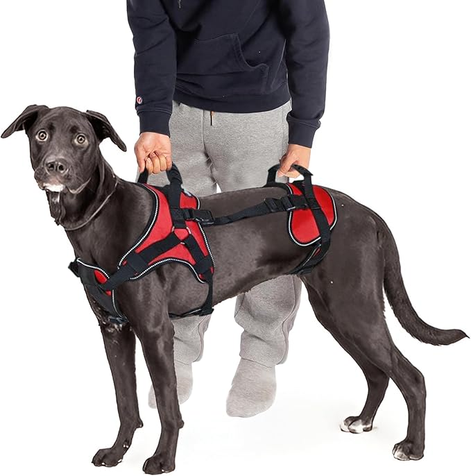 Doggie Stylz Multi-Functional Full-Body Lifting Dog Harness Vest, Designed for Front-Only, Rear-Only or Full-Body Dog Lifting. Please Measure Before Ordering.