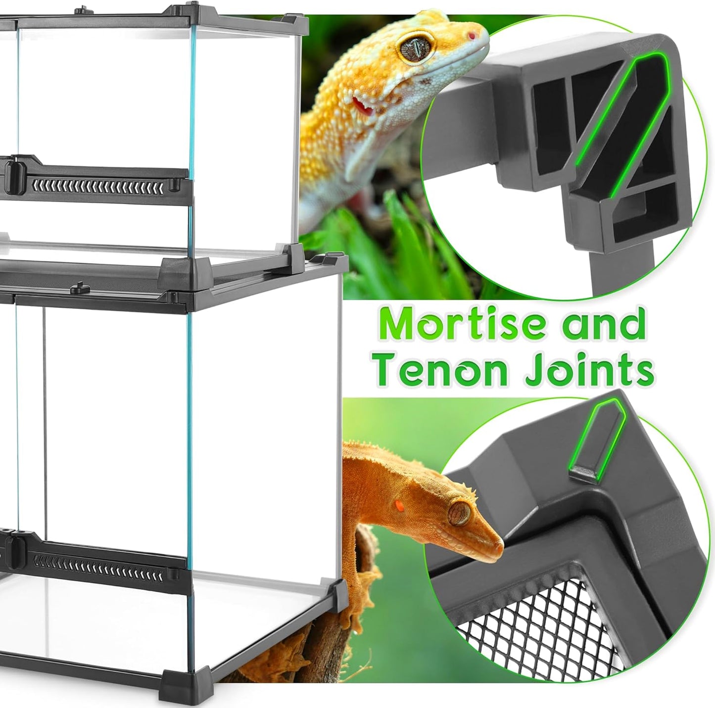 Mini Reptile Glass Terrarium 12"x12"x12" Durable Reptile Habitat Tank with Heat Resistant Aluminum Alloy Frame, Double Swinging Doors with no Jam by Sand and Other Debris