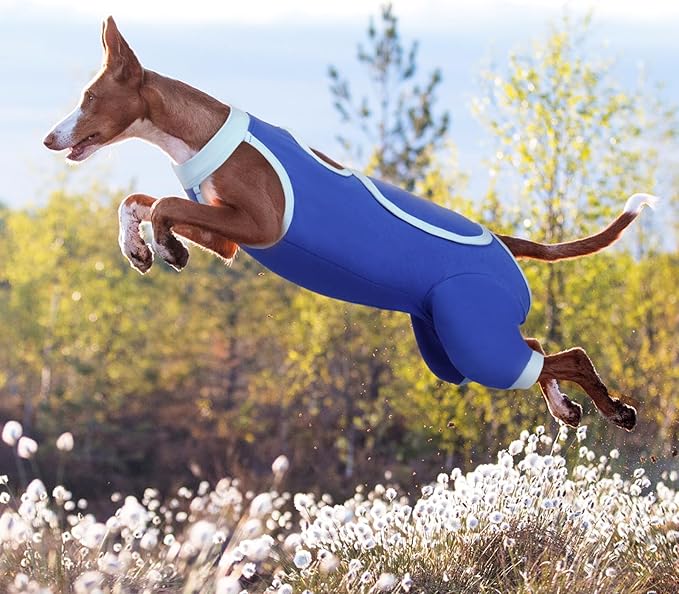 ROZKITCH Dog Surgery Leg Sleeve Rear Legs, Male Female Pet Prevent Licking Wound Elbow Knee Protector, Dog Recovery Suit Cone Collar Alternative Pants Shirt for Wound Heal Wrap Blue M