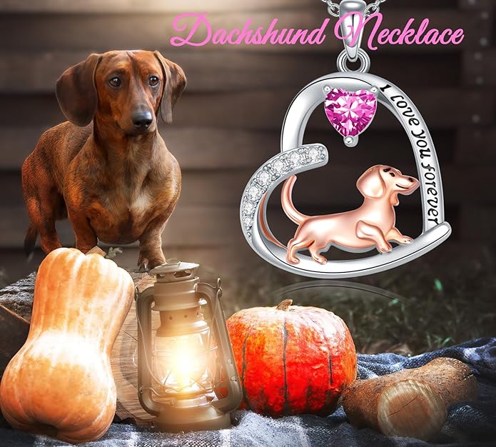 Dachshund Necklace 925 Sterling Silver Dachshund Birthstone Pendant Cute Animal Puppy Dog Dachshund Jewelry Gifts for Women Dachshund Lover