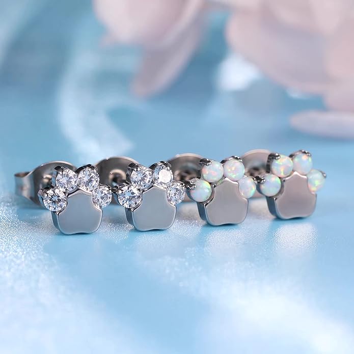 Limerencia G23 Pure Titanium Hypoallergenic Earrings | F136 Implant Grade Titanium Jewelry for Sensitive Ears