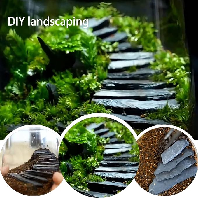 Natural Slate Stone Rocks 2 to 4 inch Aquariums Stone for Aquascaping,Terrariums,Reptile Enclosures,Paludariums, and Gardens-5lb