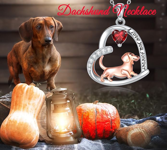 Dachshund Necklace 925 Sterling Silver Dachshund Birthstone Pendant Cute Animal Puppy Dog Dachshund Jewelry Gifts for Women Dachshund Lover