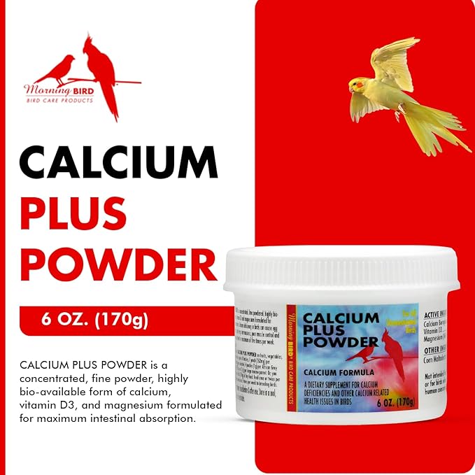 Morning Bird Calcium Plus Powder for Birds 6 oz – Calcium Carbonate Powder with Magnesium Glycinate & Vitamin D – Bone Strength & Immune Support Supplement – Calcium Formula for All Bird Sizes