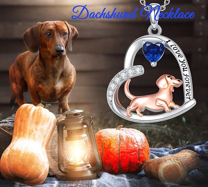 Dachshund Necklace 925 Sterling Silver Dachshund Birthstone Pendant Cute Animal Puppy Dog Dachshund Jewelry Gifts for Women Dachshund Lover