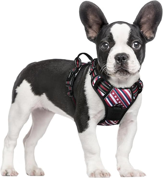rabbitgoo Dog Harness No Pull with 2 Leash Clips, Adjustable Soft Padded, Reflective Oxford No Choke Pet Vest with Easy Control Handle for Large Dogs, Red Stripe, S