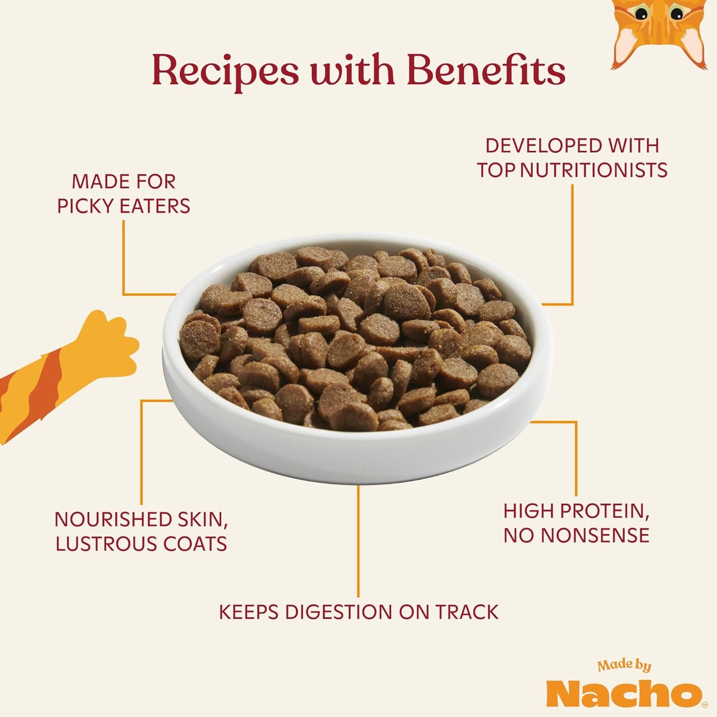 Made by Nacho Dry Cat Kibble 2lb Bag, High Protein and Grain-Friendly Premium Cat Food, Cage-Free Chicken & Pumpkin Recipe, Infused with Bone Broth for Hydration, Limited Ingredients, Single Bag