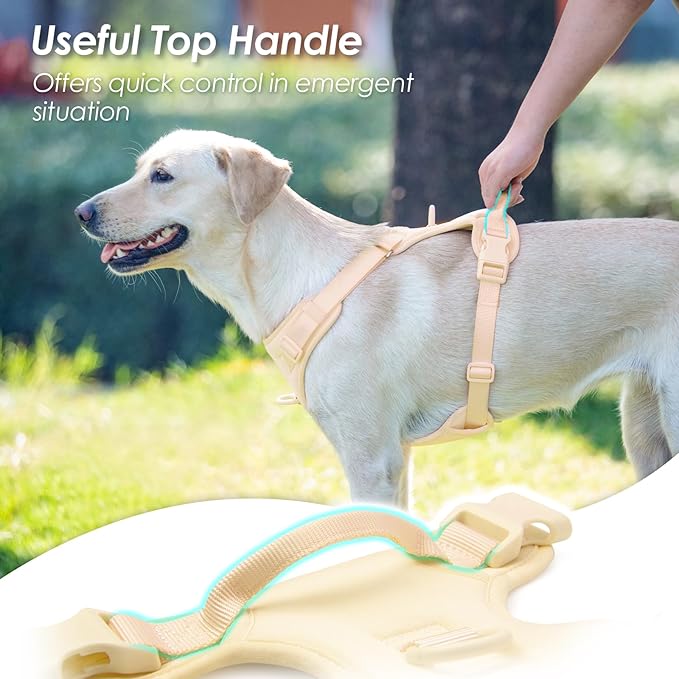 No Pull Dog Harness, Puppy Vest with Front Clip for Small Medium Large Sized Dog(Light Yellow,M)