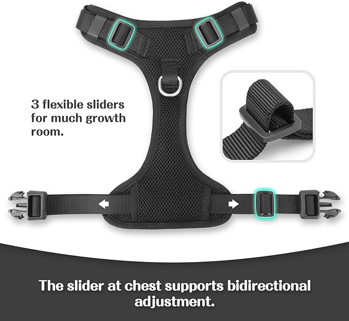 No Pull Dog Harness for Small Medium Large Dogs - Adjustable Two-Layer Mesh Dog Vest with Dual Clip, Escape Proof, Quick Release, Lightweight Breathable Mesh for Walking Hiking (Black,XL)