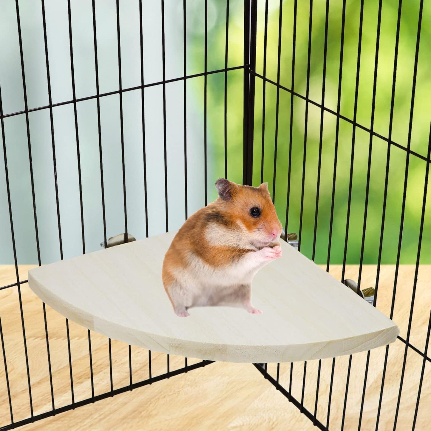 Wontee Bird Perch Stand 2 Pack Wooden Platform Corner Ledge for Budgies Cockatiels Conures African Greys Rats Gerbils Chinchillas Squirrels (M (6.7"x6.7")