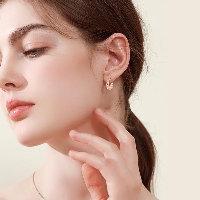 Paw Earrings 925 Sterling Silver Paw Hoop Earrings Cat Dog Jewelry Gifts for Women