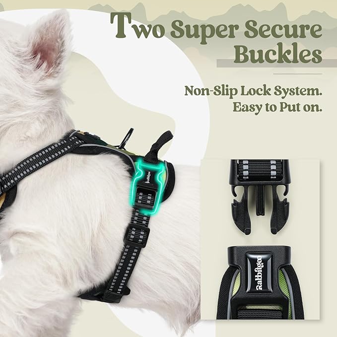 rabbitgoo Dog Harness No Pull with 2 Leash Clips, Adjustable Soft Padded, Reflective Oxford No Choke Pet Vest with Easy Control Handle for Large Dogs, Green Mountain,XS