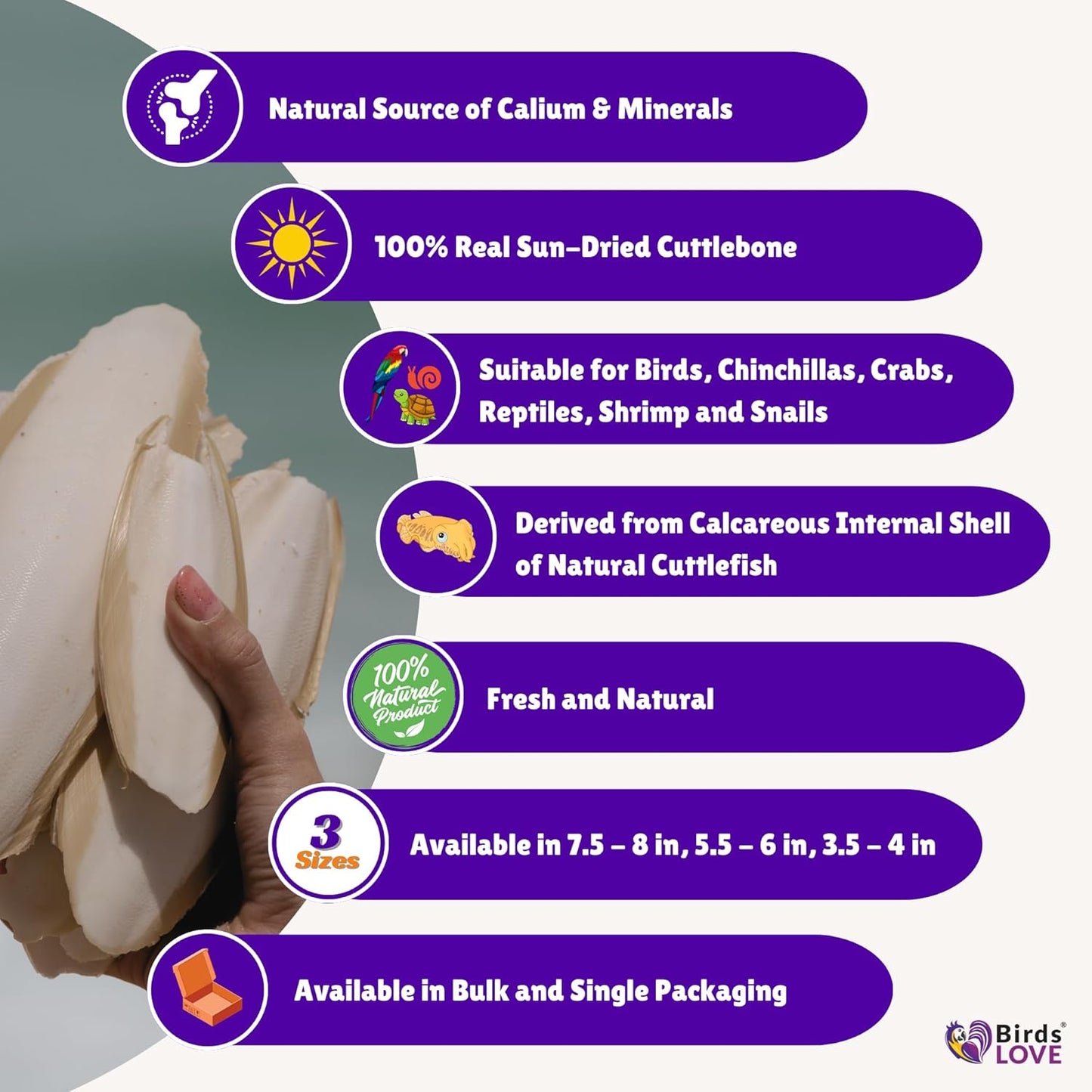Birds LOVE Natural Cuttlebone – Premium Calcium & Trace Mineral Supplement for Tortoises, Snails, Parakeets, Cockatiels, and All Birds - 6 Pack of 7.5 to 8"