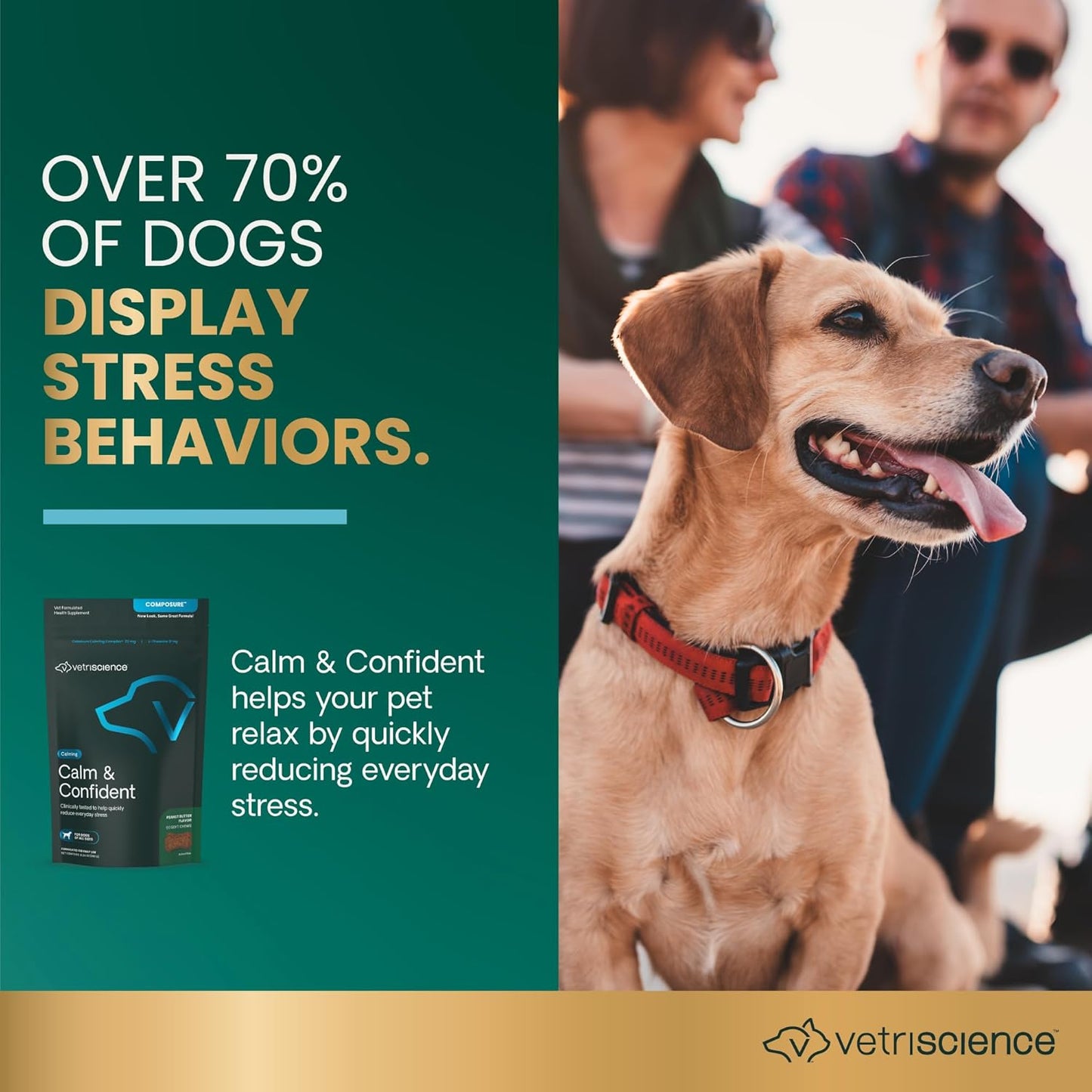 VetriScience Calm & Confident Chews, Composure Clinically Tested Anxiety and Calming Chews for Dogs, Reduce Stress, Ideal for Thunderstorms, Fireworks and Travel, Peanut Butter, 60 Count