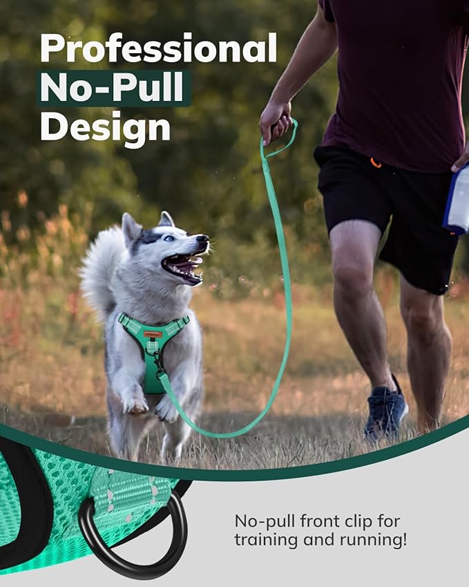 MIDOG No-Pull Dog Harness | Adjustable & Reflective Pet Harness Leash Set for Small Medium Large Dogs Walking, Training| No Choke, Front Clip, Soft Padded Vest with Easy Control Handle - Green, L
