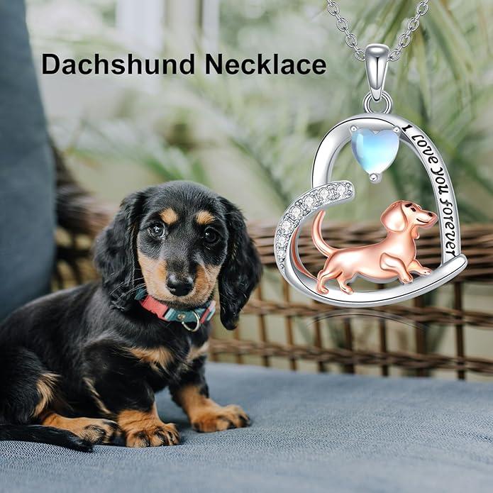 Dachshund Necklace 925 Sterling Silver Dachshund Birthstone Pendant Cute Animal Puppy Dog Dachshund Jewelry Gifts for Women Dachshund Lover