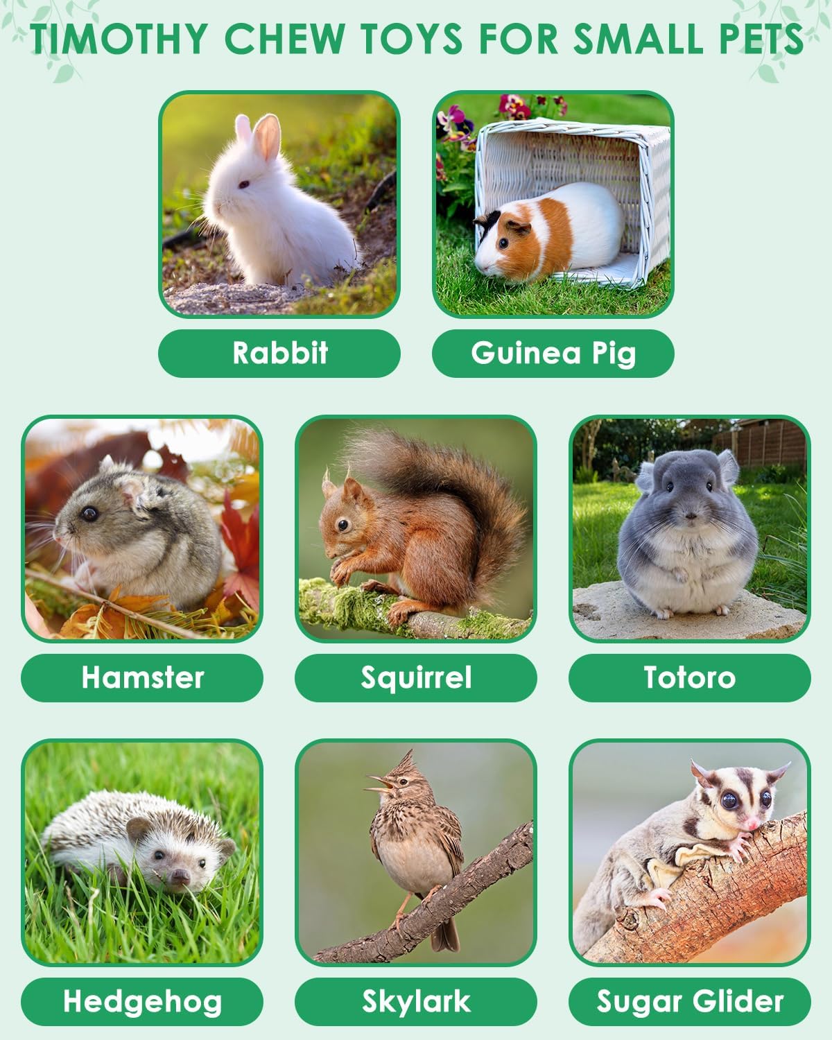 ERKOON 53 Bunny Chew Toys for Rabbits Teeth, Natural Rabbit Toys Apple Wood Sticks, Carrot, Timothy Grass for Small Pets, Hamster, Chinchilla, Guinea Pig Dental Care and Treat Teething(53)