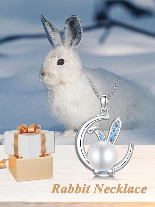 Dorunmo Animal Necklace 925 Sterling Silver Owl/Sloth/Axolotl/Dolphin Necklace Celtic Knot Pendant Birthday Anniversary Animal Jewelry for Women Friends Animals Lover