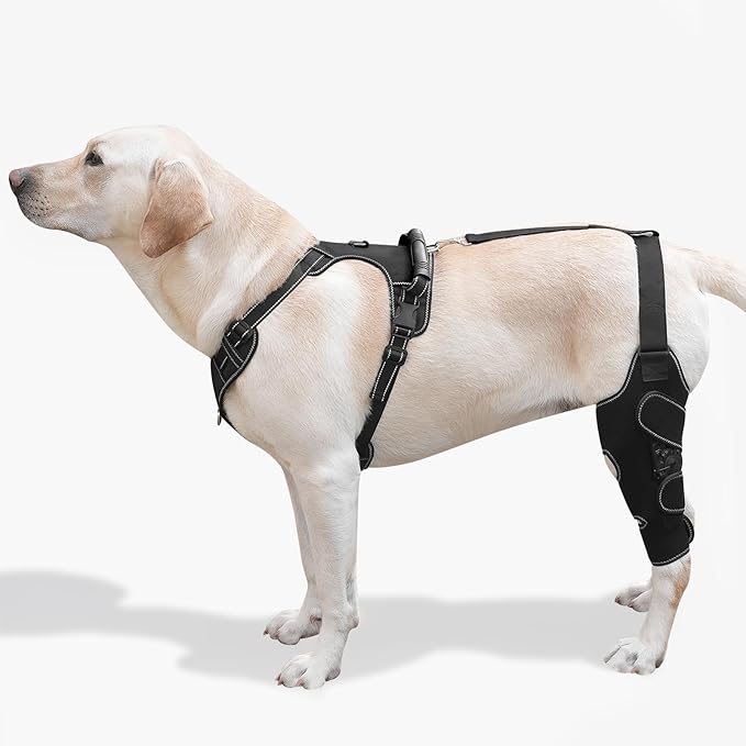 Dog Knee Brace with Adjustable Support – ACL & CCL Tear Recovery, Post-Surgery Stabilization, Mobility Aid for Rear Legs – Includes Secure Chest Harness for Dogs(Left,M)
