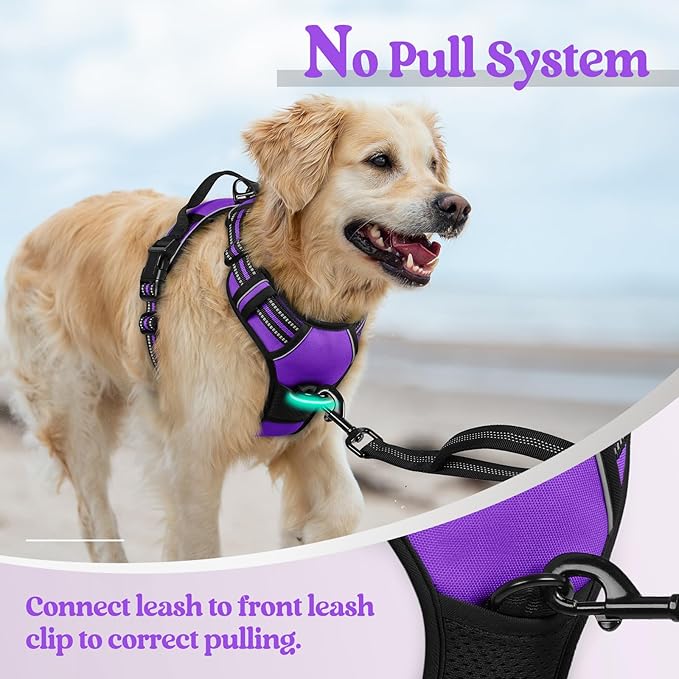 rabbitgoo Dog Harness No Pull with 2 Leash Clips, Adjustable Soft Padded, Reflective Oxford No Choke Pet Vest with Easy Control Handle for Large Dogs, Purple, XL