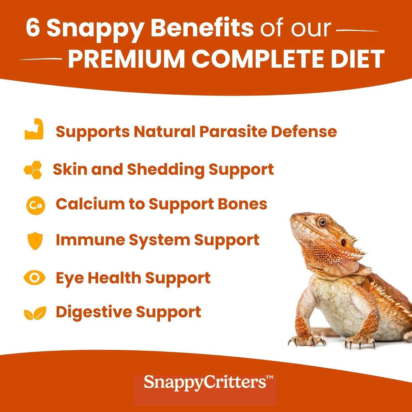 Bearded Dragon Food - Premium Complete Diet Gel Mix for Juvenile and Adult, Made in US FDA Facility, Fortified Formula for Skin and Shedding Support, Digestive Support and Immune System - 3.5 oz.