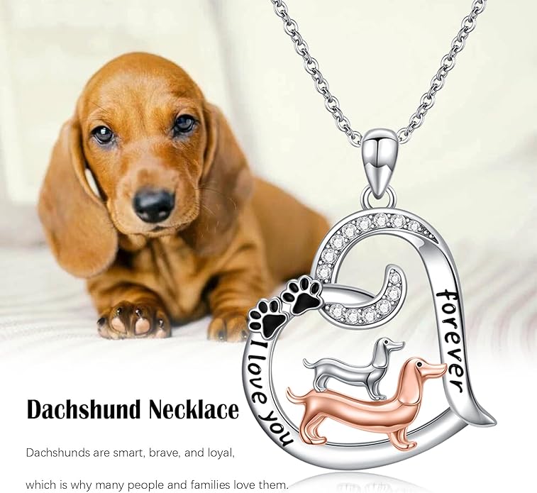 Dog/Paw Print/Infinity Necklace for Women 925 Sterling Silver Heart Dogs Pendant Necklaces Jewelry Christmas Birthday Gifts for Dog Lovers Friends