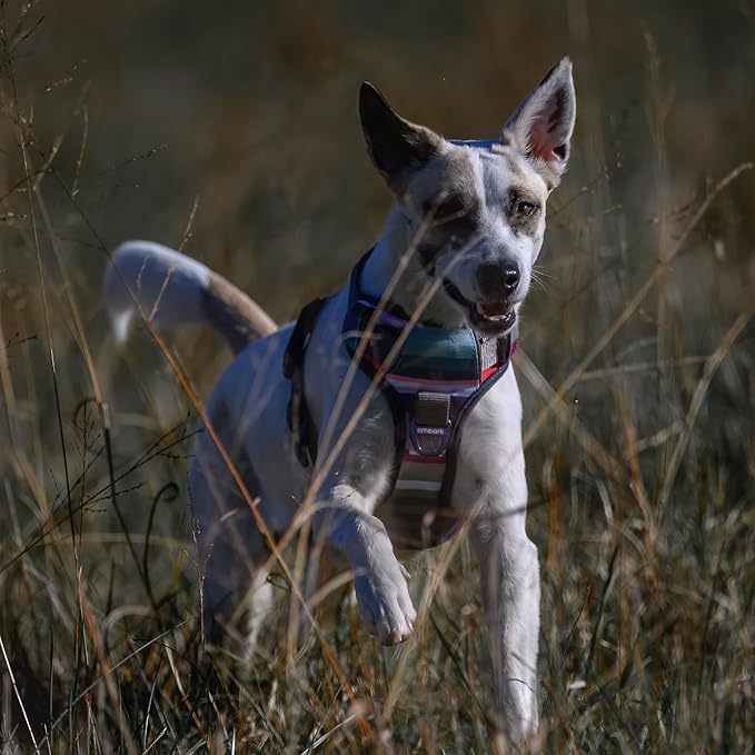 Embark Adventure Dog Harness, Reflective Trim No Pull Harness for Large Dogs - Military Grade Nylon, Front Clip with Gel Lined Handle. Soft & Padded Puppy Harnesses for Any Breed