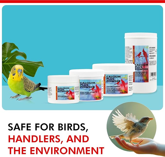 Morning Bird Calcium Plus Powder for Birds 1 oz – Calcium Carbonate Powder with Magnesium Glycinate & Vitamin D – Bone Strength & Immune Support Supplement – Calcium Formula for All Bird Sizes