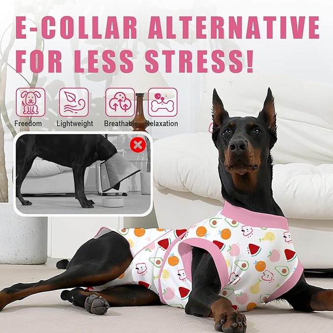Recovery Suit for Dogs After Surgery, Professional Dog Surgical Suit for Female Spay, Male Neuter, E-Collar & Cone Alternative Dog Onesie for Abdominal Wounds Skin Disease, Fruit, S