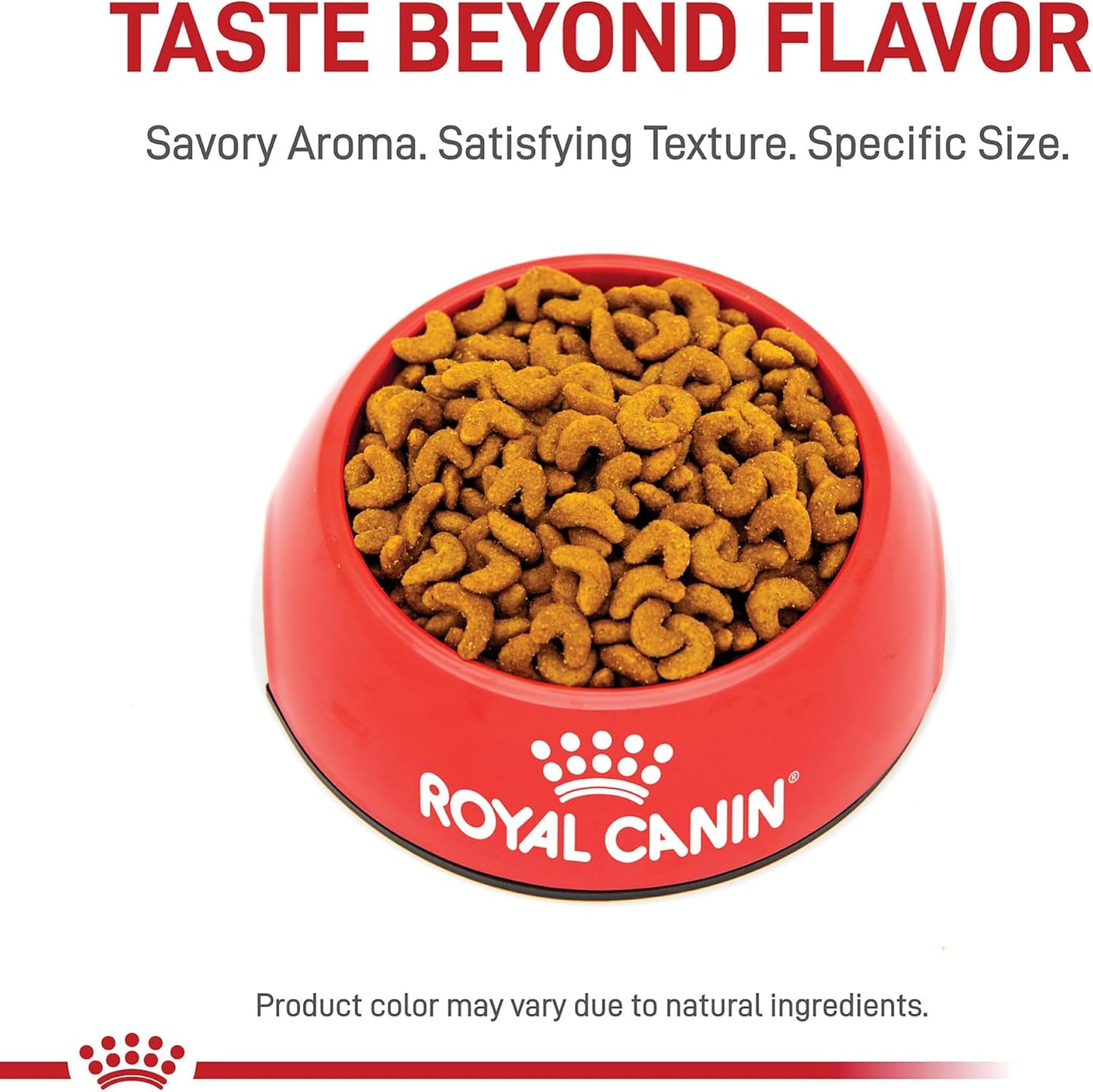 Royal Canin American Shorthair Breed Adult Dry Cat Food, 5.5 lb.