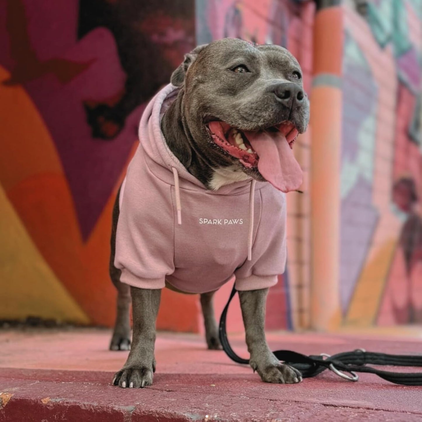 Spark Paws Dog Hoodie – Premium Dog Sweater for Small, Medium, and Large Dogs | Warm Outfits for French Bulldogs, Pitbull, Puppy, Winter Jacket Alternative - Dusty Pink - XL