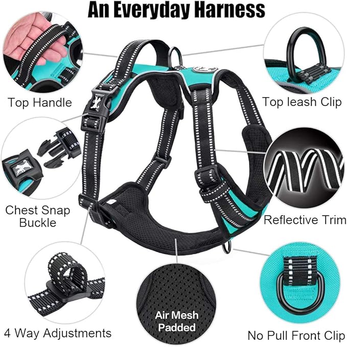 PoyPet No Pull Dog Harness, Reflective Comfortable Vest Harness with Front & Back 2 Leash Attachments and Easy Control Handle Adjustable Soft Padded Pet Vest for Small to Large Dogs (Mint Blue,L)