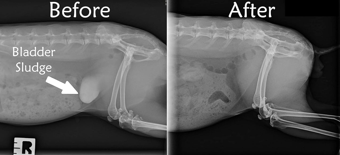 Sherwood Pet Health Adult Rabbit Food Timothy Hay Free-Choice 20lbs Hay-Based, Grain and Soy-Free for Better Digestion