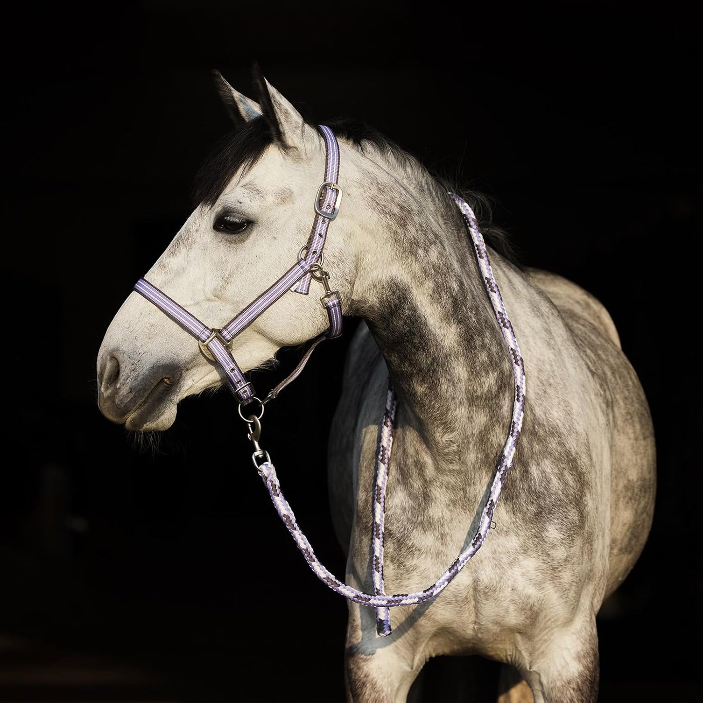 HORZE Adepto Adjustable Horse Halter | Soft, Durable Polyester - Languid Lavender Purple - Horse