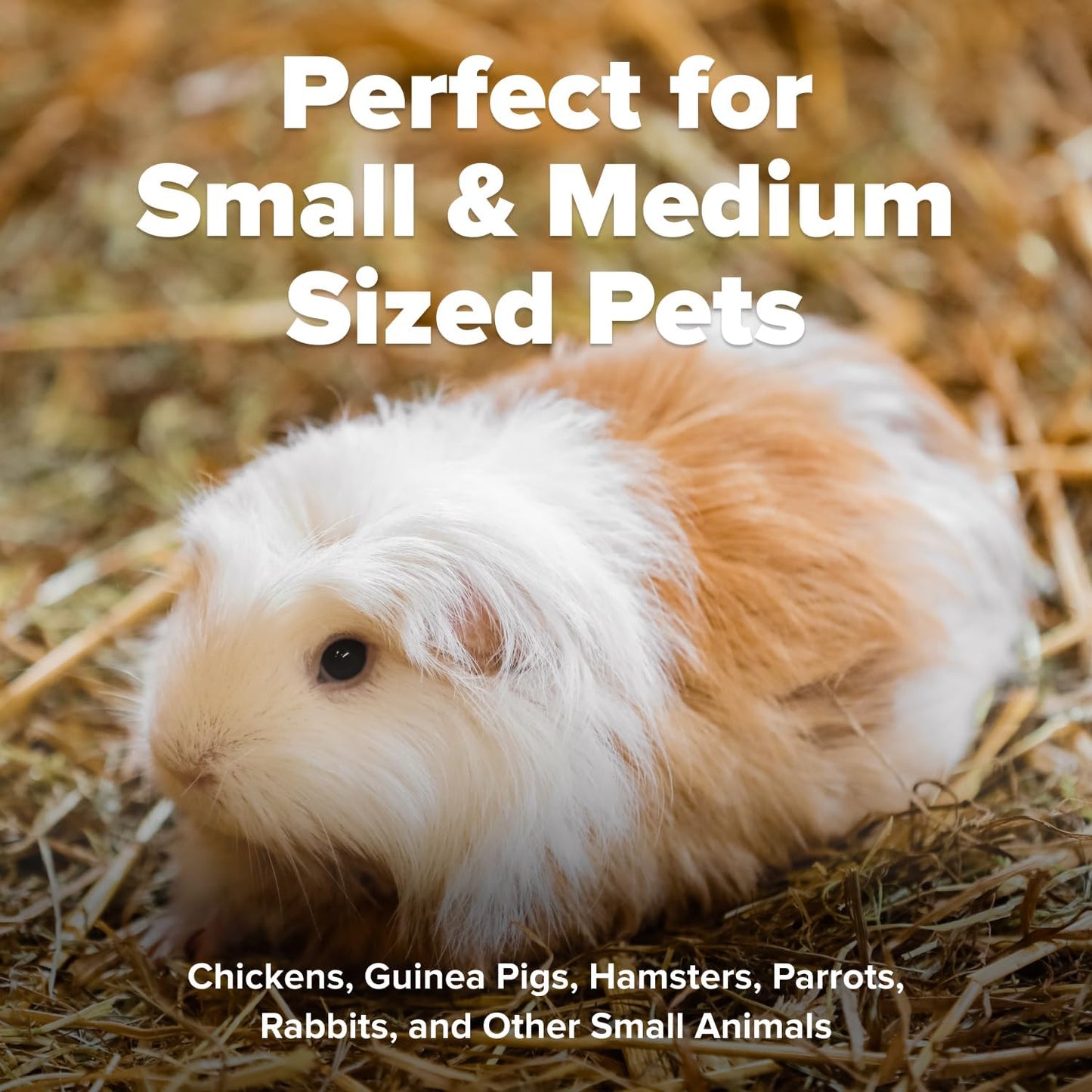All Walks 40 Liter Hemp Bedding for Chicken Coops, Guinea Pigs, Hamsters, Rabbits, and Other Small Animals - 100% Natural, Superior Odor Control, Sustainably Sourced Pet Bedding - Made in America