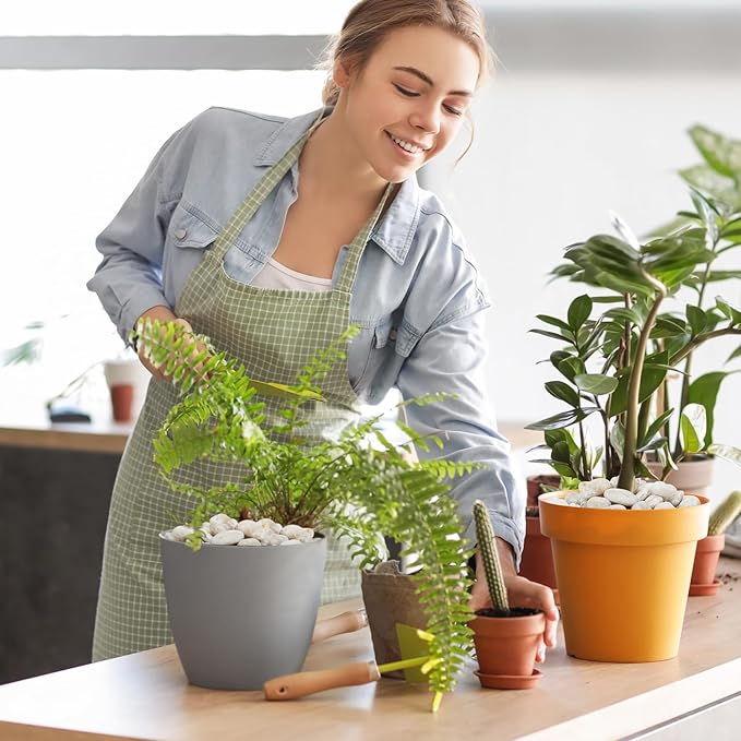 Mr. Fireglass 10lb White River Rocks, 3/8 inch Natural Decorative Polished Pebbles Aquarium Gravel Stones for Landscaping, Indoor Plants, Vase, Succulent, Fish Tank