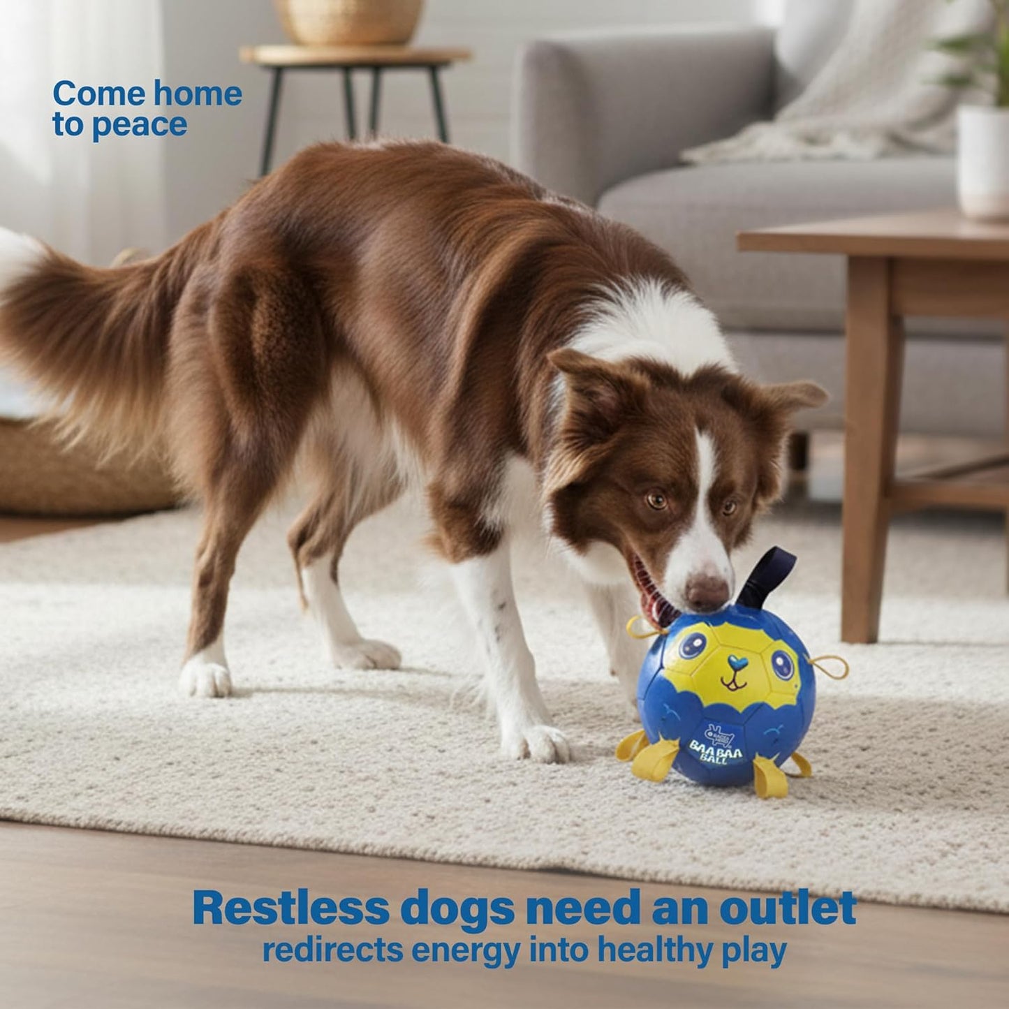 Race&Herd 6" Jolly Soccer Ball for Dogs - Tough Durable Dog Ball Toy with Straps, Pet Bouncy Herding Balls for Dogs, Floating Dog Balls with Tags for Water Fetch (BaaBaaBall, Baby Sheep)