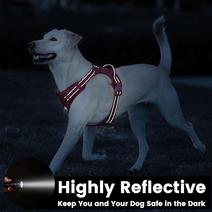 No Pull Dog Harness, Reflective Puppy Vest for Small Medium Large Sized Dog(Burgundy Red,XS)