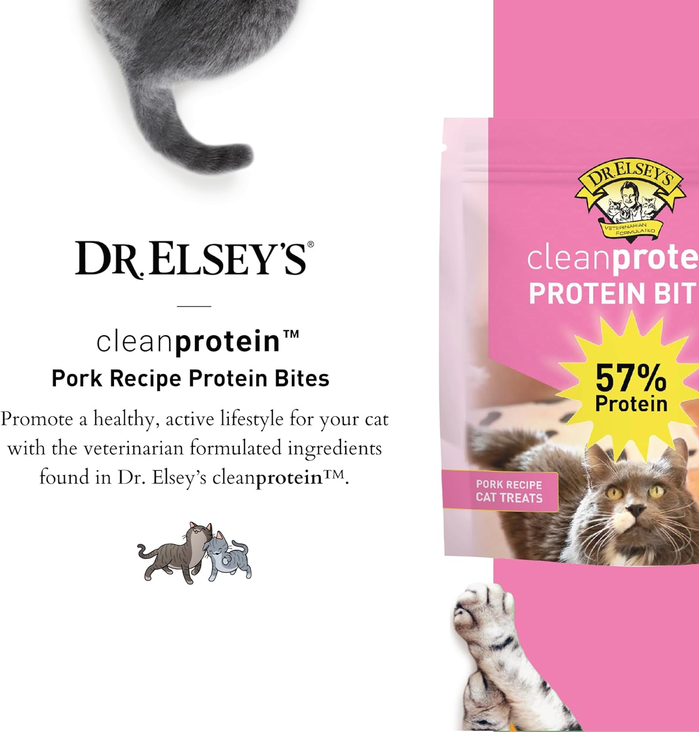 Dr. Elsey's cleanprotein Protein Bites Pork 6 oz.