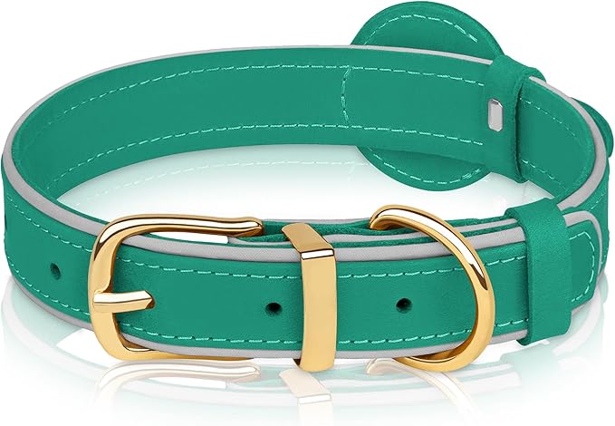 OOPSDOGGY Reflective Geniune Leather Airtag Dog Collar Soft Padded Collars for Small Medium Large Breed Dogs Puppy, 4 Sizes, 7 Colors (Teal, Large, 15"-19")