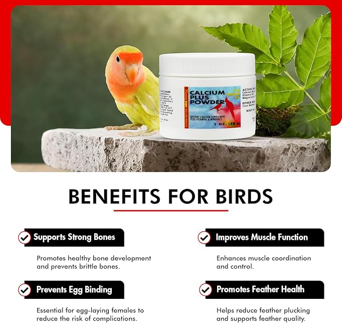 Morning Bird Calcium Plus Powder for Birds 1 oz – Calcium Carbonate Powder with Magnesium Glycinate & Vitamin D – Bone Strength & Immune Support Supplement – Calcium Formula for All Bird Sizes