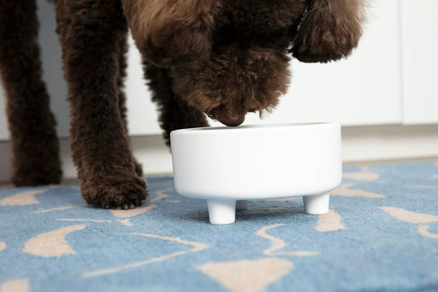 Waggo Uplift Ceramic Dog Bowl for Small Medium and Large Breeds - Heavyweight and Durable Pet Food and Water Dish Crock, Dishwasher Safe, Modern, Elevated Feeder (Teracotta, Large)