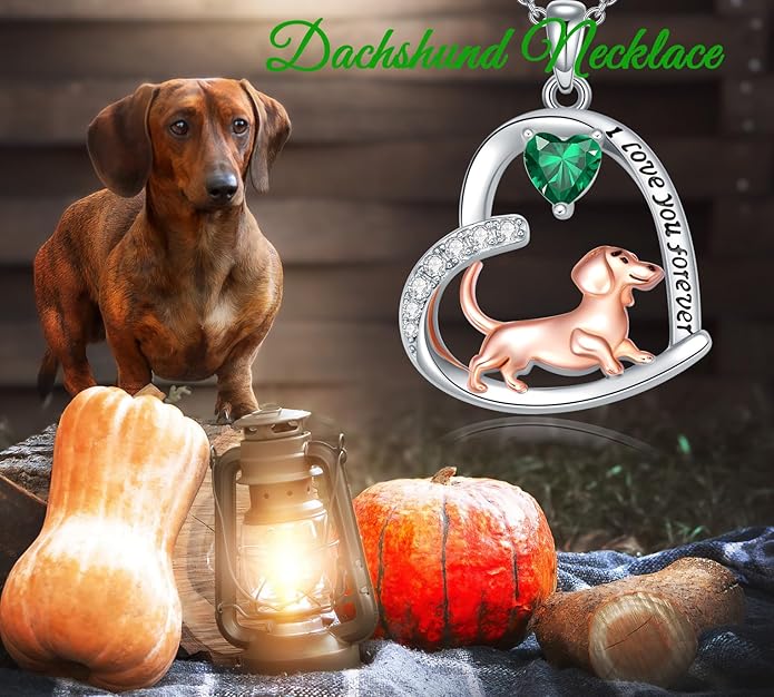 Dachshund Necklace 925 Sterling Silver Dachshund Birthstone Pendant Cute Animal Puppy Dog Dachshund Jewelry Gifts for Women Dachshund Lover