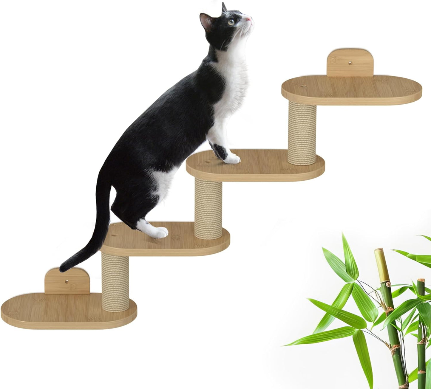 Wall-Mounted Cat Furniture for Climbing - Indoor Wooden Floating Shelves, Perches, Hammock, Bed, Bridges, Walkways - Different Models