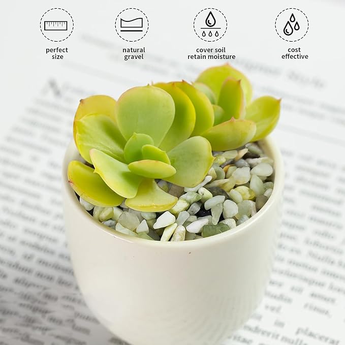 Jade Pebbles for Indoor Plants,1/4 Inch (3-6 MM) Polished Green Pea Gravel Small Rocks for Plants, Succulents, Cactus, Vases, Terrarium