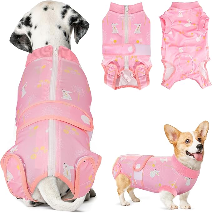 Lukovee Recovery Suit for Dogs, Zipper On Recovery Suit for Female Male Dog, Onesie Abdominal Wounds Cone E-Collar Alternative Prevent Licking Spay Recovery Suit (Large, A-Pink)