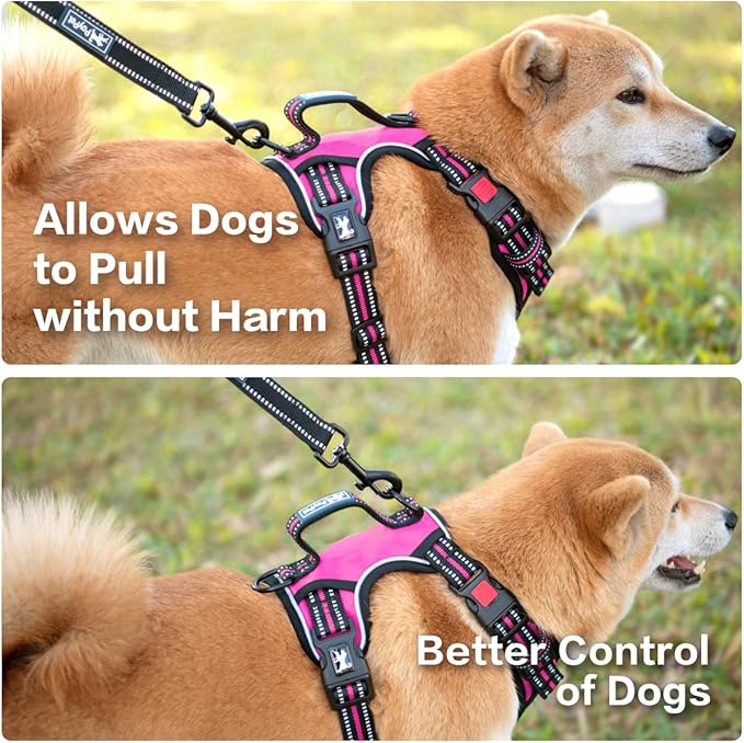 PoyPet No Pull Dog Harness, No Choke Front Clip Reflective Dog Vest with Soft Padded Vertical Handle, 3 Leash Attachments for Small Medium Large Dogs (Pink,L)