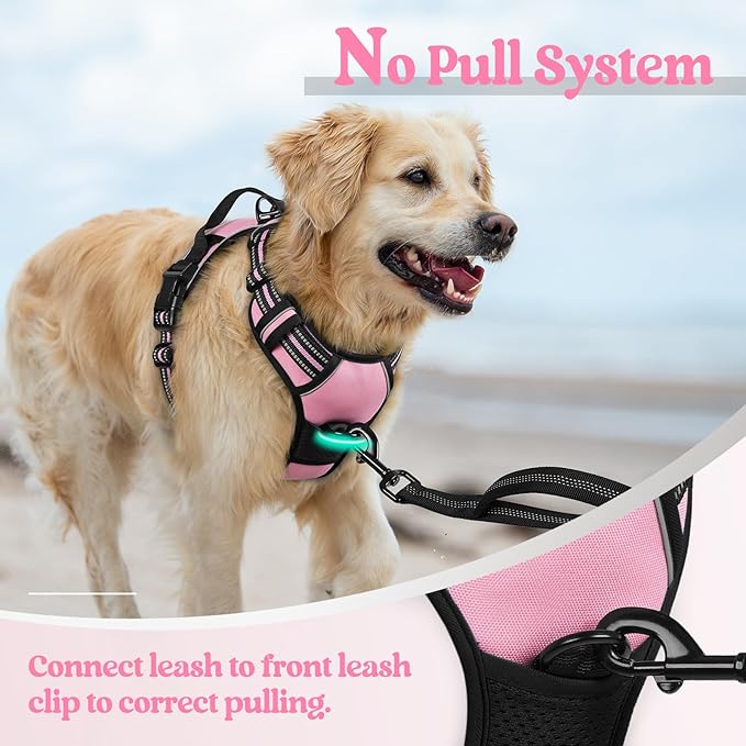 rabbitgoo Dog Harness No Pull with 2 Leash Clips, Adjustable Soft Padded, Reflective Oxford No Choke Pet Vest with Easy Control Handle for Large Dogs, Pink, L