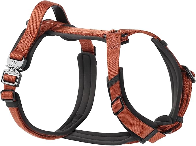 CLEPAWS Dog Harness for Medium Dogs, No Pull Dog Harness Easy Walk with Metal Hardware, Ergonomic Y-Shaped Design, Soft Padding, Padded Handle, Durable High-Tensile Nylon (Canyon Red, M)