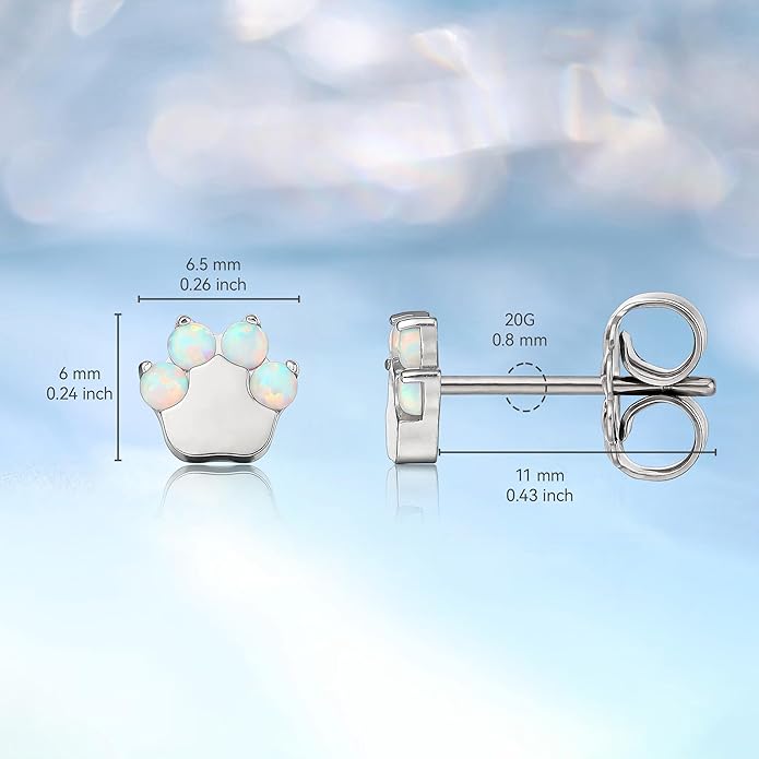 Limerencia G23 Pure Titanium Hypoallergenic Earrings | F136 Implant Grade Titanium Jewelry for Sensitive Ears